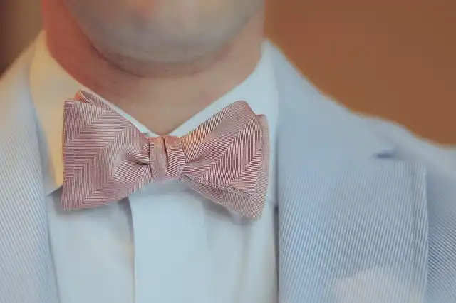Fevvers: Plant-Based Feathers Revolutionize Fashion
